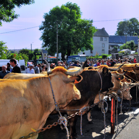 Foirail à Nasbinals