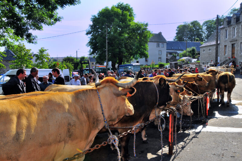 Foirail à Nasbinals
